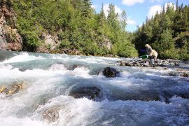 Gold Mining Tours