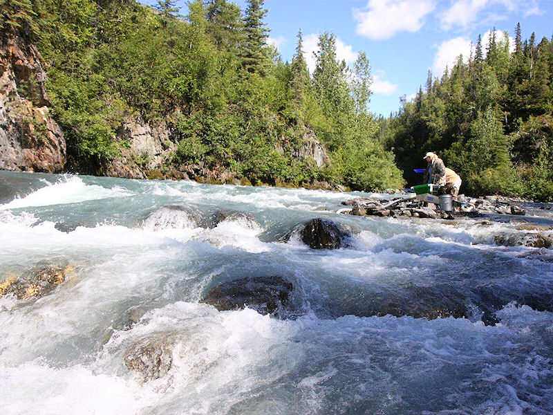 Juneau Gold Panning Tours, Best Places To Pan For Gold…